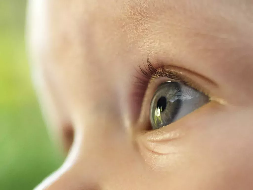 Révolution médicale : L’autisme détectable chez l’enfant via des photos rétiniennes