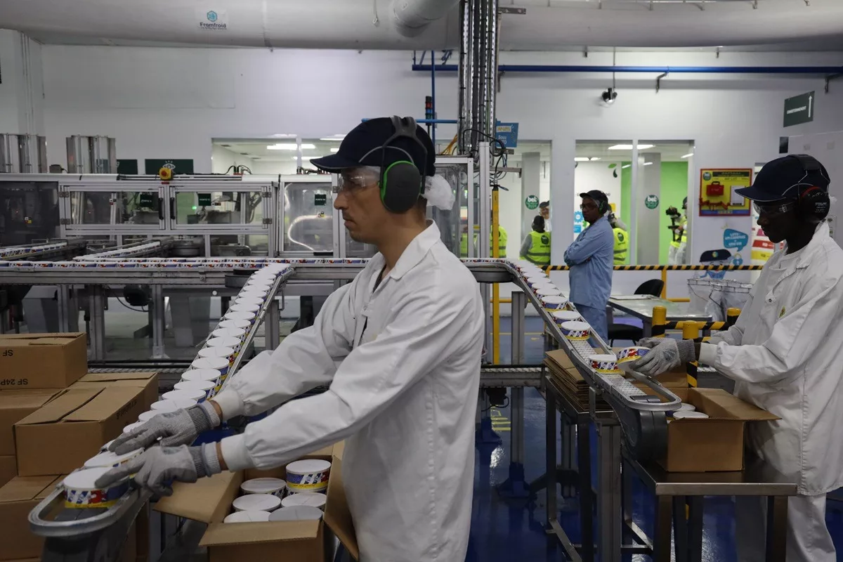 Décarbonation : L’usine de Tanger des Fromageries Bel passe à la biomasse