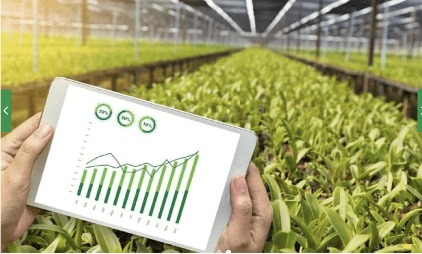 Agritech : l’Université Euromed de Fès et l’AFD lancent le programme Tech4Farmers